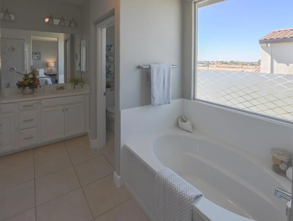 305 E Forsythia Way Mountain House, CA 95391