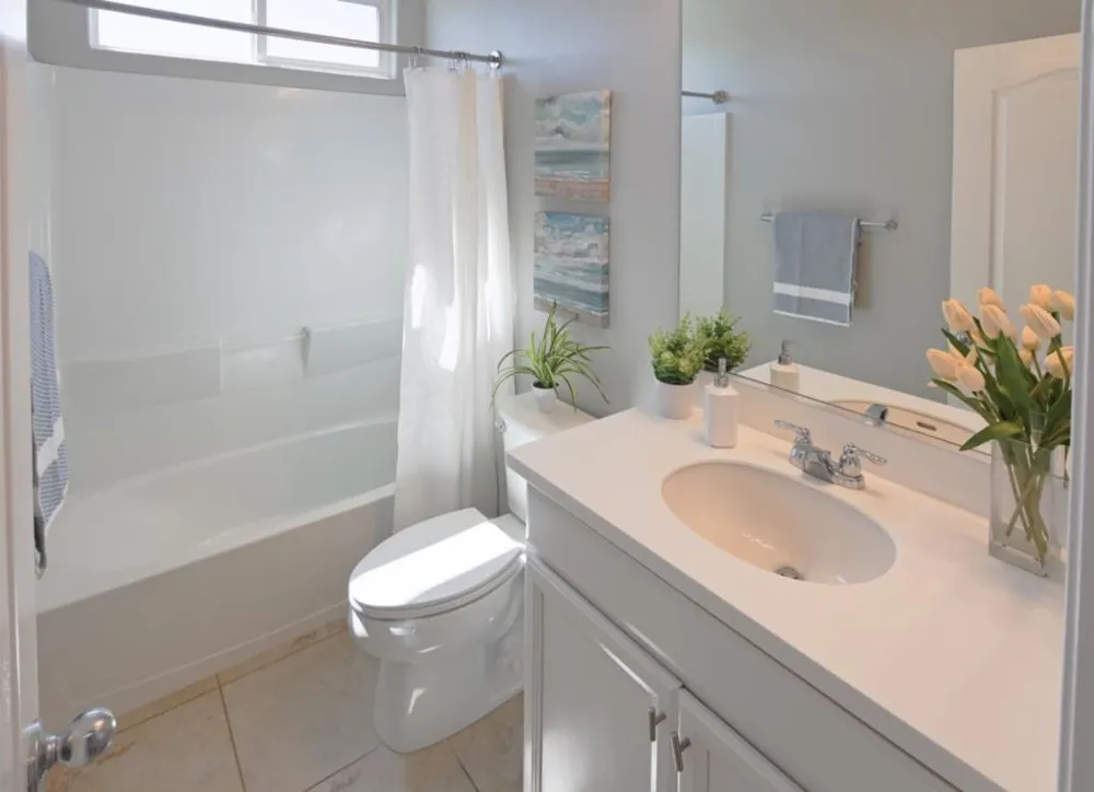 305 E Forsythia Way Mountain House, CA 95391