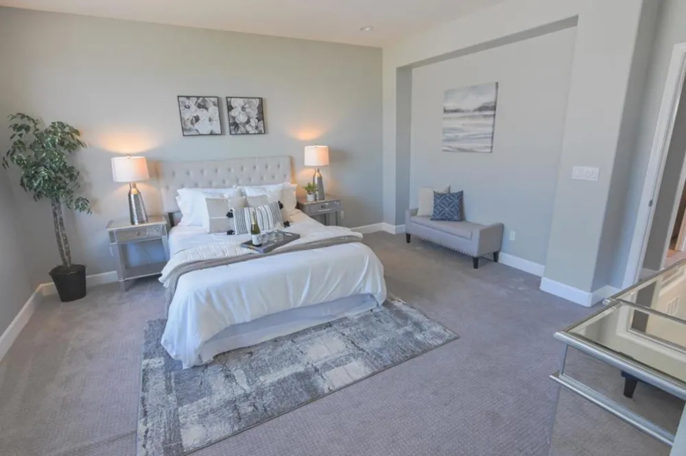 305 E Forsythia Way Mountain House, CA 95391
