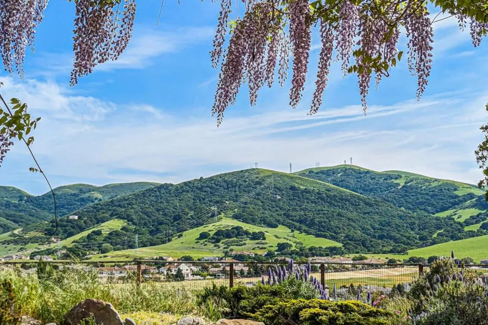 385 Via Vaquero Norte San Juan Bautista, CA 95045