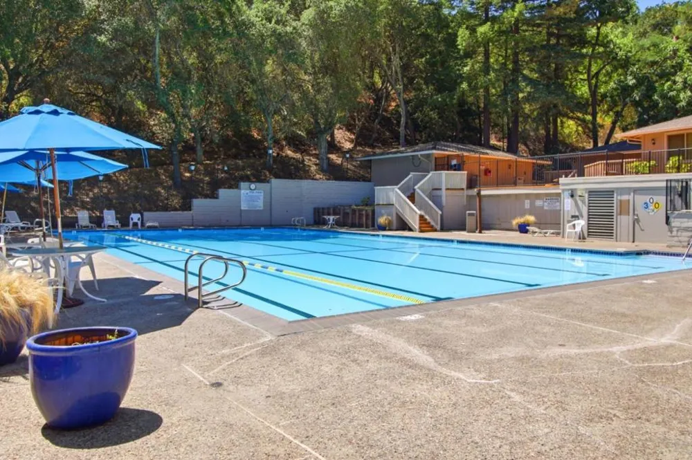 22890 Cricket Hill Road Cupertino, CA 95014