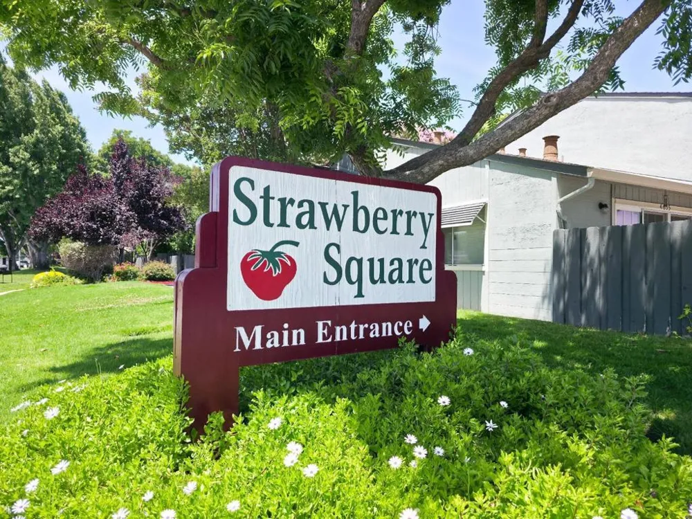 4849 Cherrythorne Lane San Jose, CA 95129