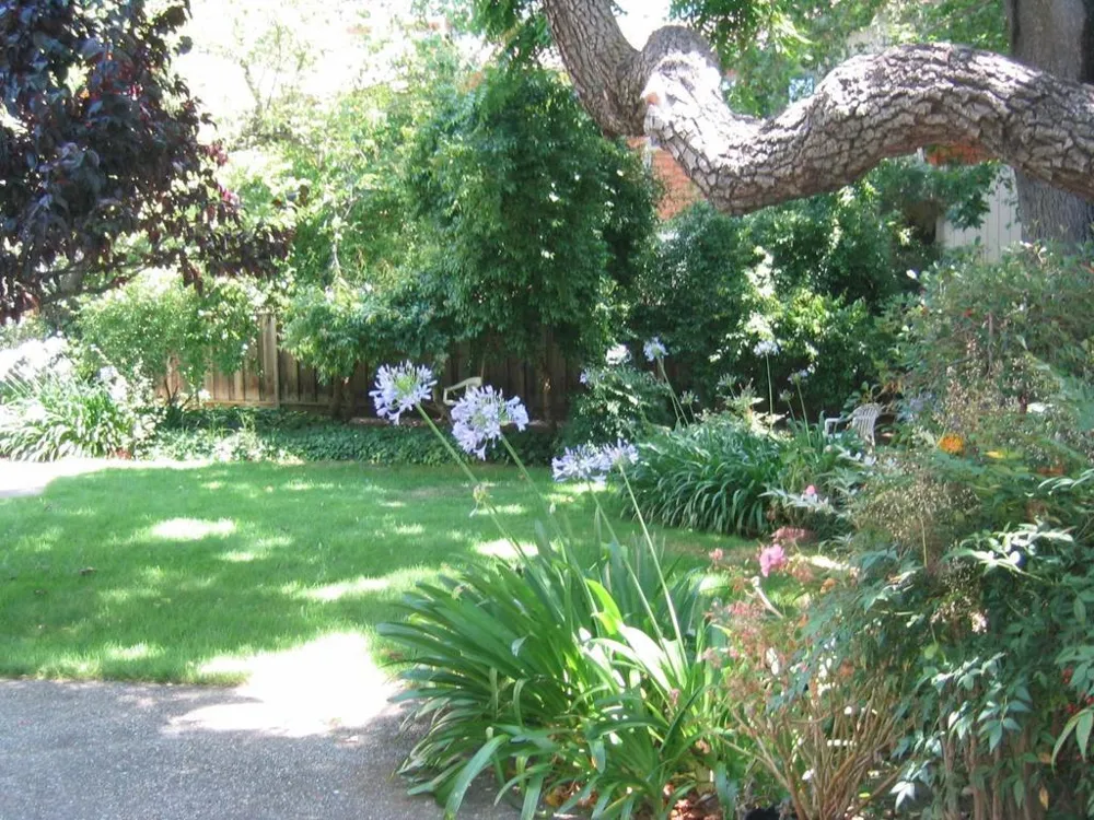 837 Cowper Street Palo Alto, CA 94301