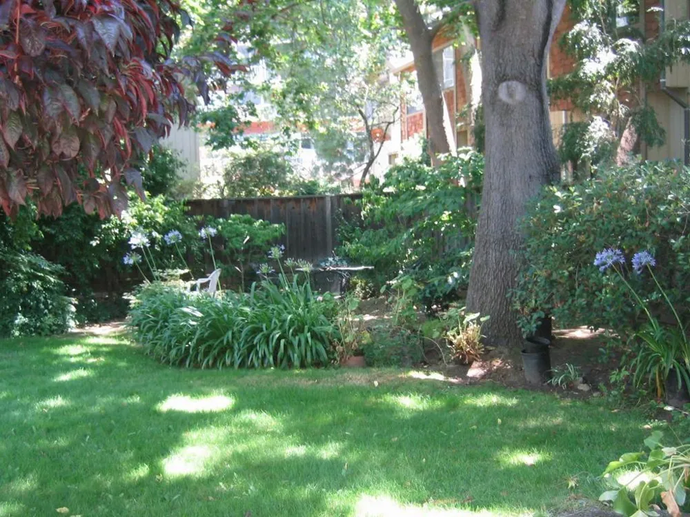 837 Cowper Street Palo Alto, CA 94301