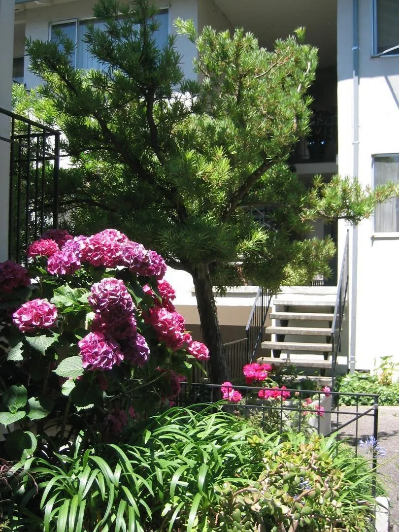 837 Cowper Street Palo Alto, CA 94301