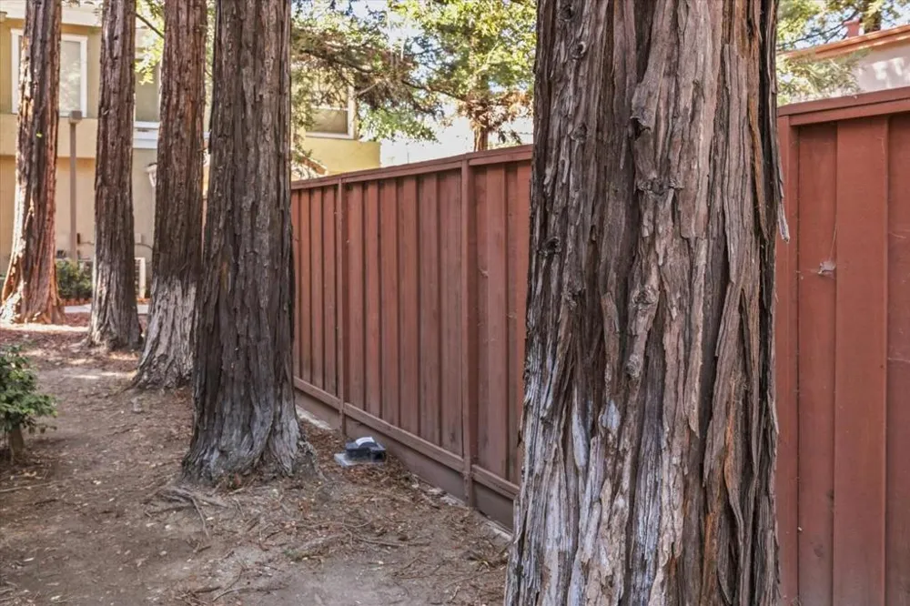 173 San Pedro Circle San Jose, CA 95110