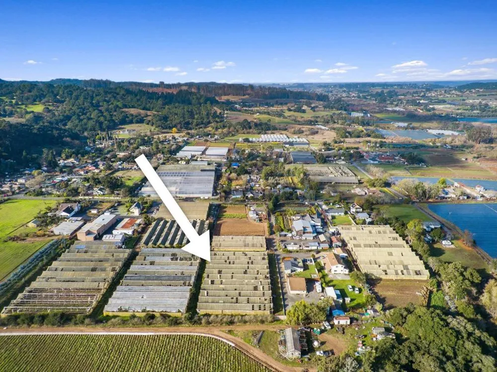 175 Johnson Road Royal Oaks, CA 95076