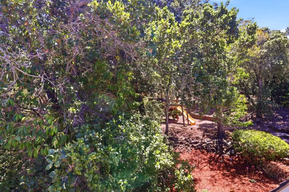 417 Palomar Drive Redwood City, CA 94062