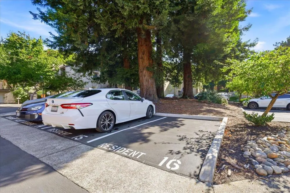 2341 Ticonderoga Drive San Mateo, CA 94402