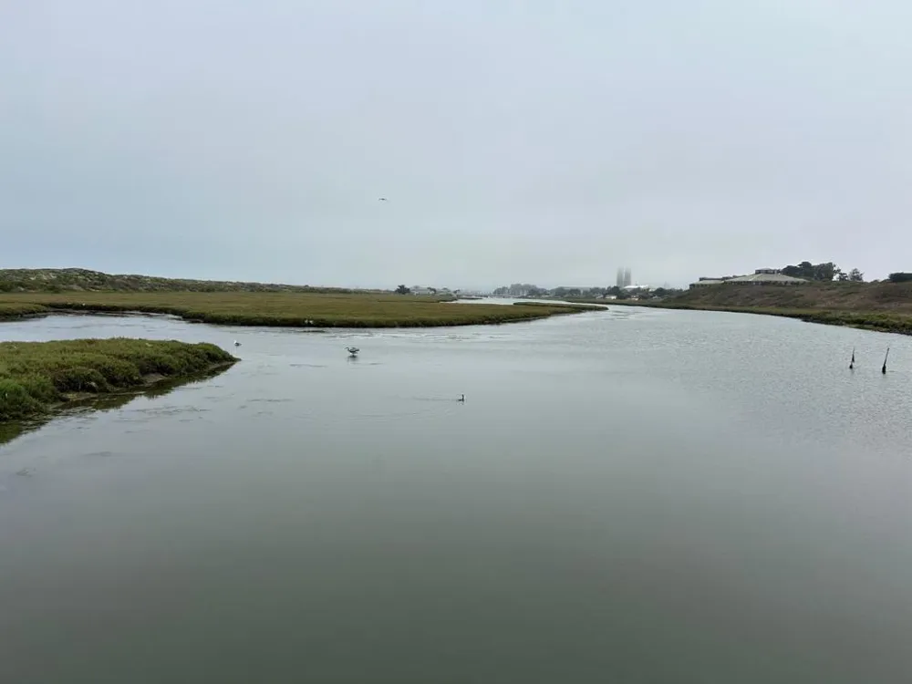 10925 Pieri Court Moss Landing, CA 95039
