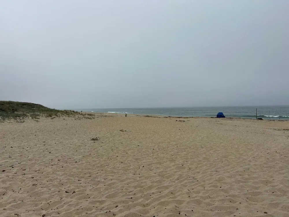 10925 Pieri Court Moss Landing, CA 95039