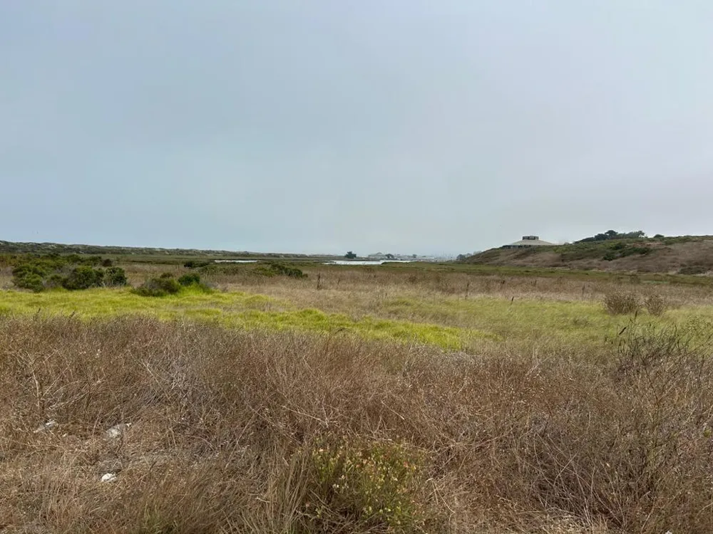 10925 Pieri Court Moss Landing, CA 95039