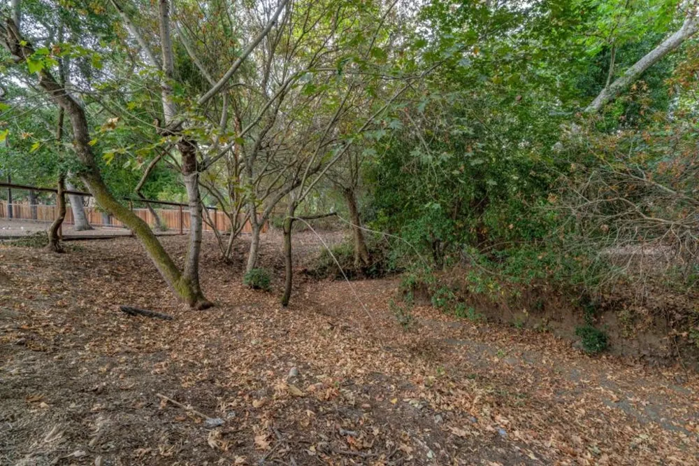19544 Sky Oaks Way Los Gatos, CA 95030