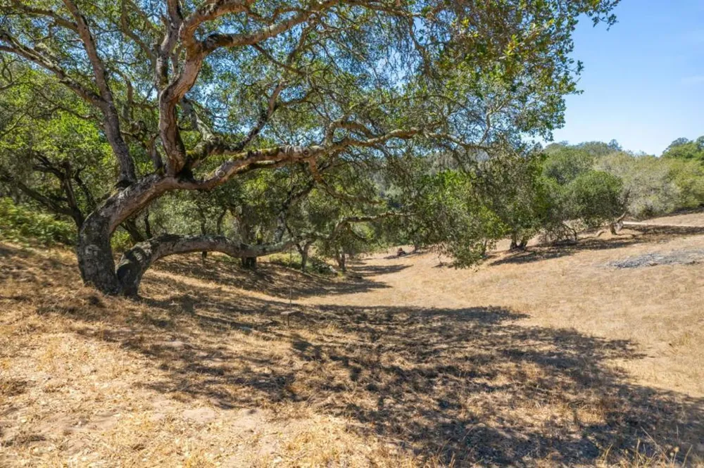 18820 Vierra Canyon Road Salinas, CA 93907