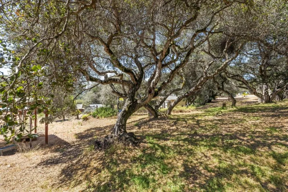 18820 Vierra Canyon Road Salinas, CA 93907