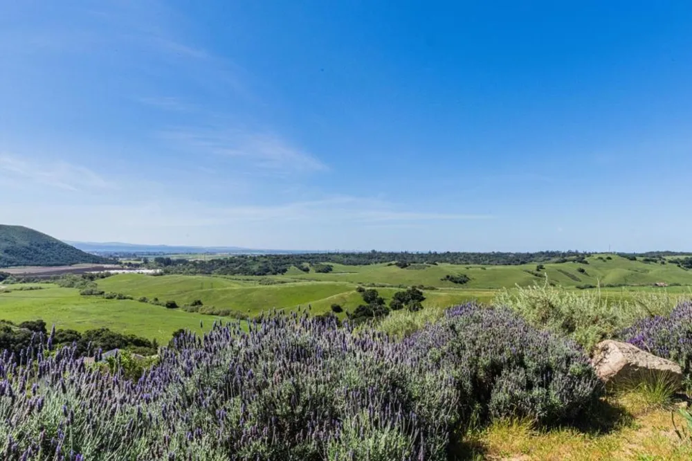 169 Old Stage Road Salinas, CA 93908