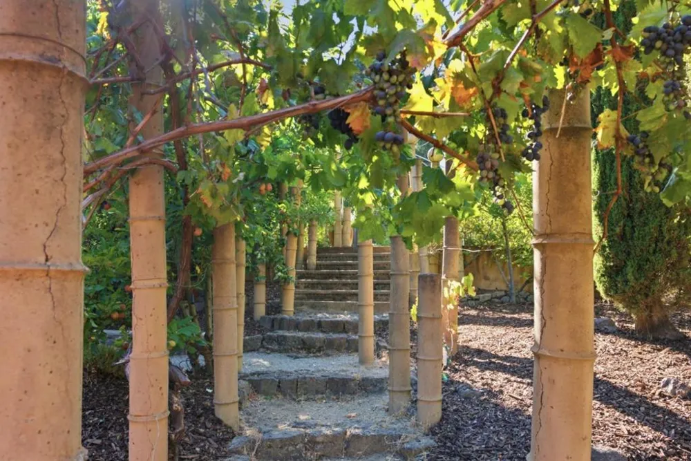 133 Russell Avenue Portola Valley, CA 94028