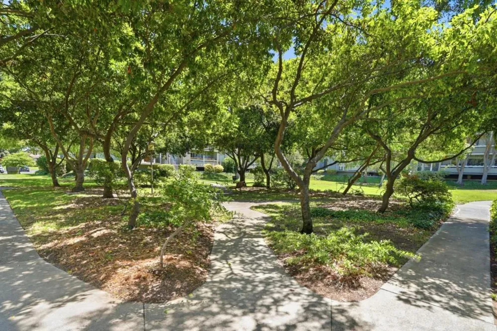 1081 Beach Park Boulevard #213 Foster City, CA 94404