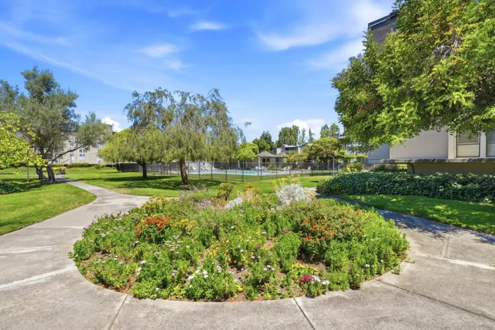1081 Beach Park Boulevard #213 Foster City, CA 94404
