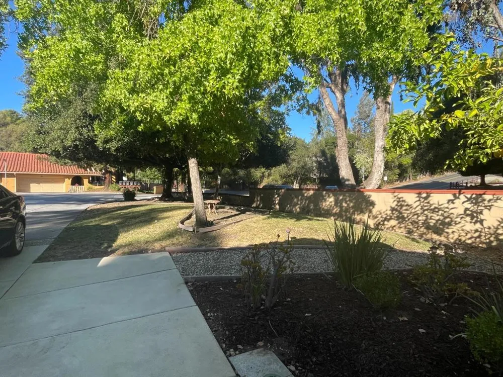 3219 E Dunne Avenue Morgan Hill, CA 95037