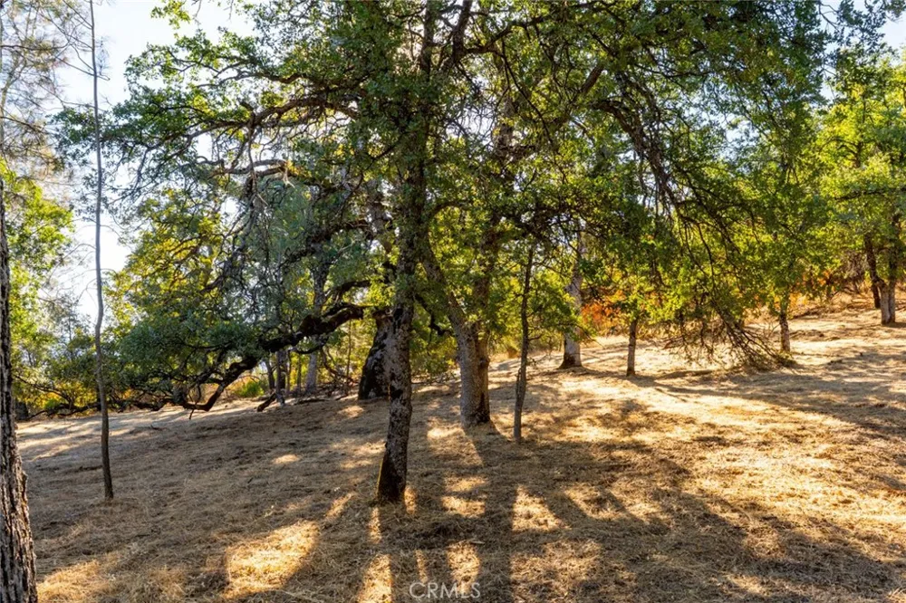 6005 Sherlock Midpines, CA 95338