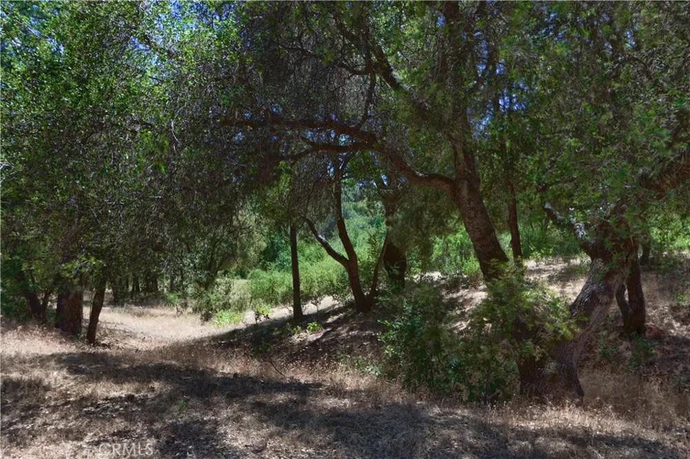 4965 Moss Creek Lane Mariposa, CA 95338
