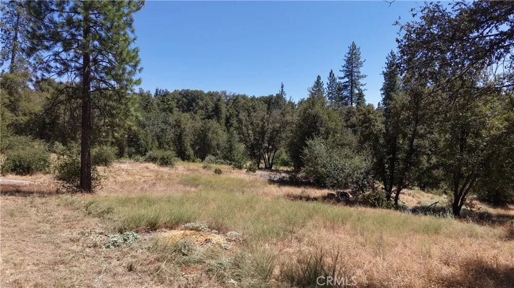 4965 Moss Creek Lane Mariposa, CA 95338