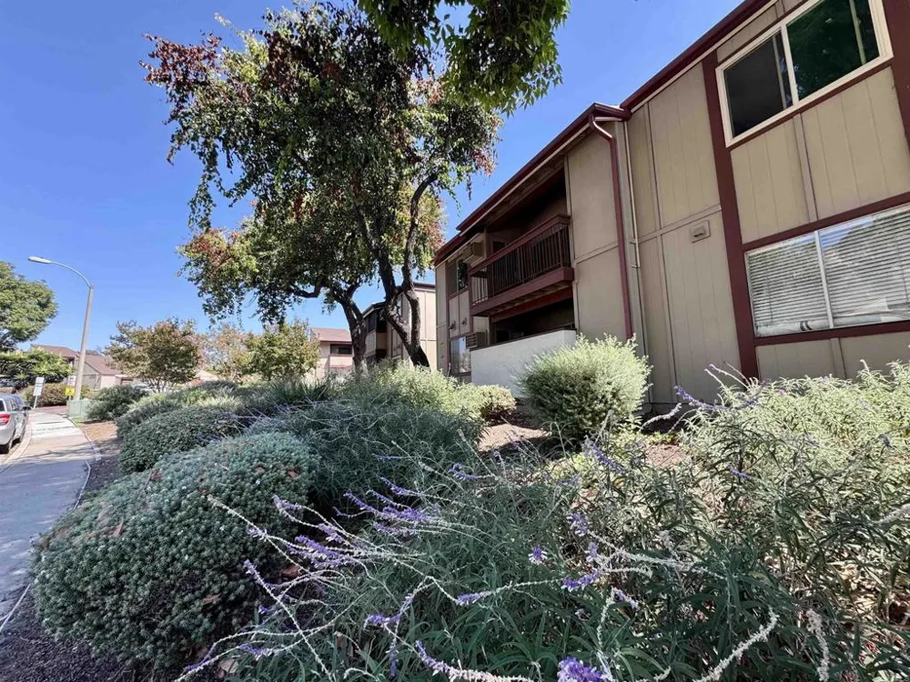 5473 Adobe Falls Rd- #16 San Diego, CA 92120
