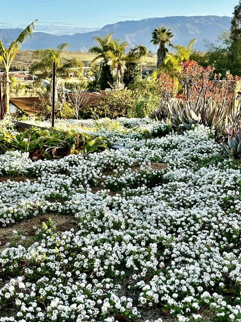 13703 Little Pond Road Valley Center, CA 92082