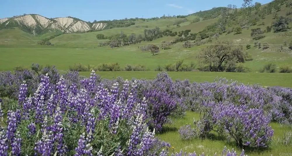 550 Limekiln Road Hollister, CA 95023