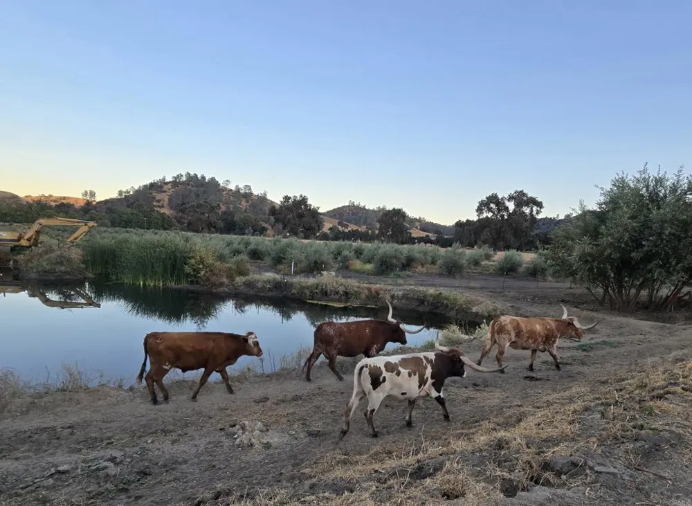 550 Limekiln Road Hollister, CA 95023