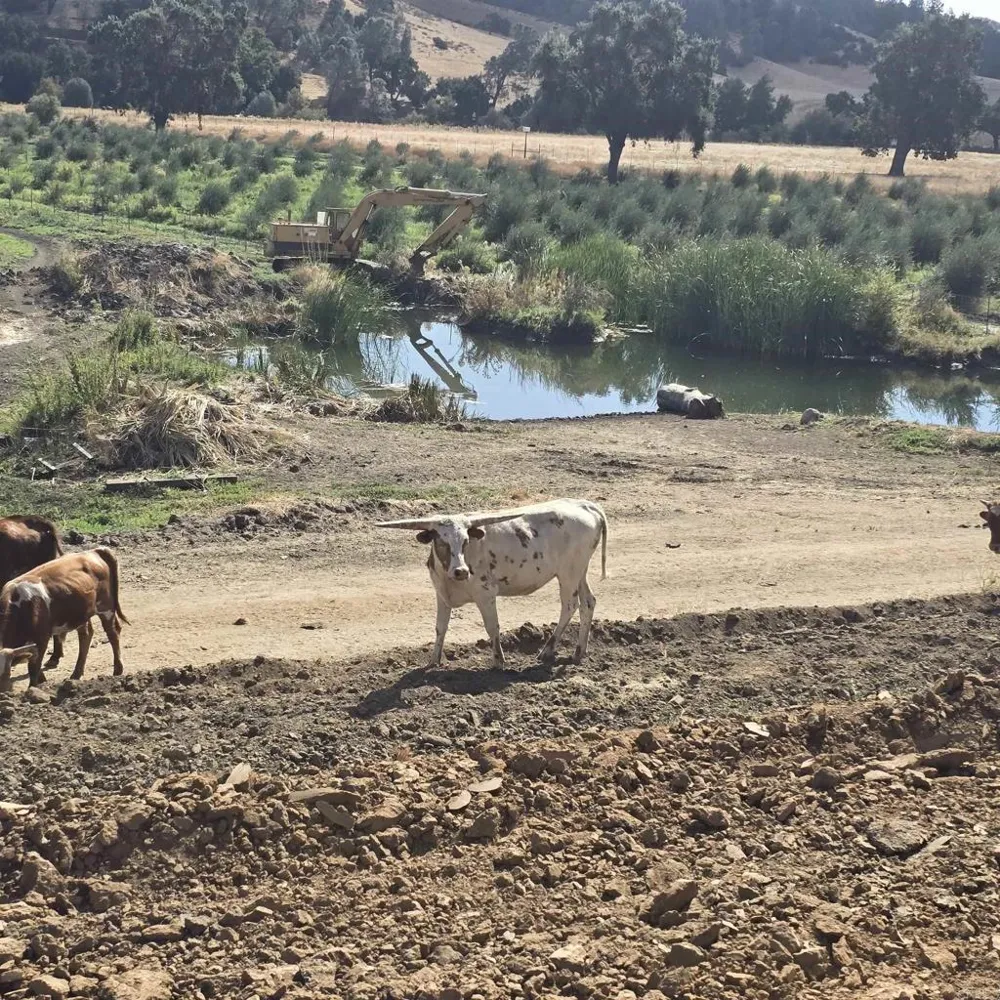 550 Limekiln Road Hollister, CA 95023