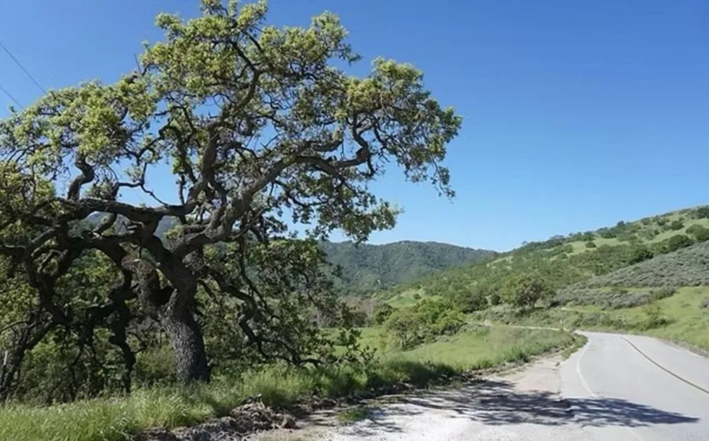 550 Limekiln Road Hollister, CA 95023
