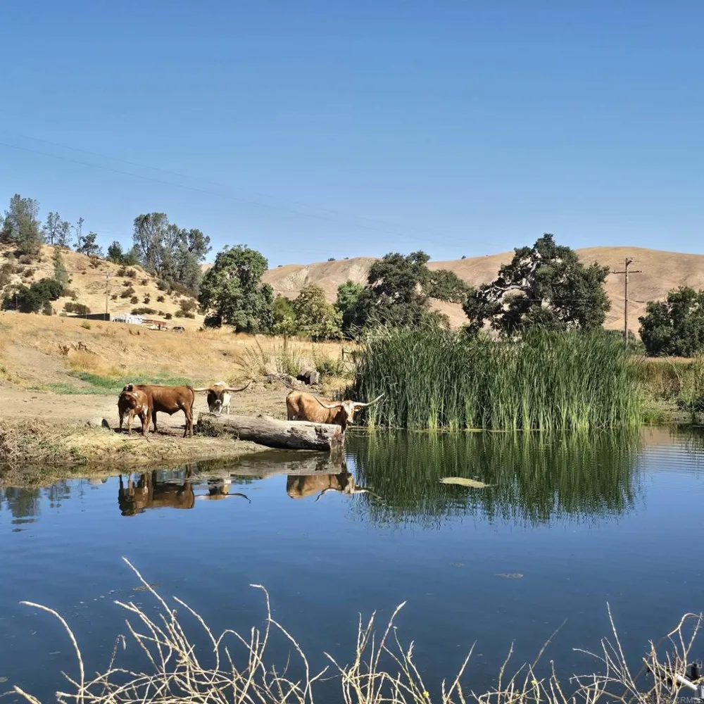 550 Limekiln Road Hollister, CA 95023