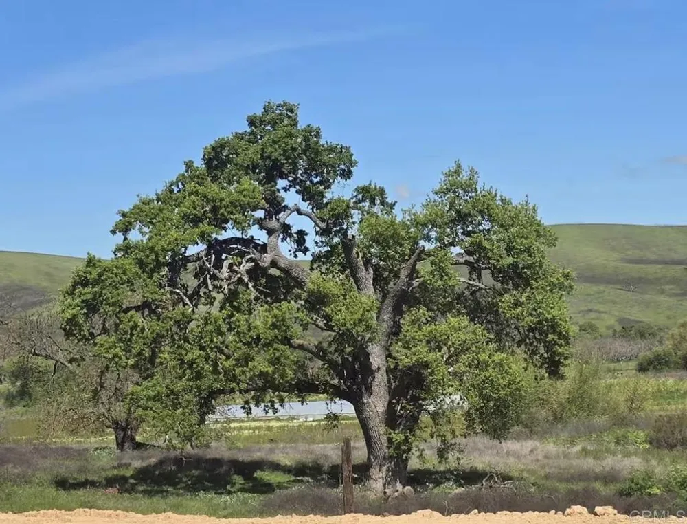 550 Limekiln Road Hollister, CA 95023