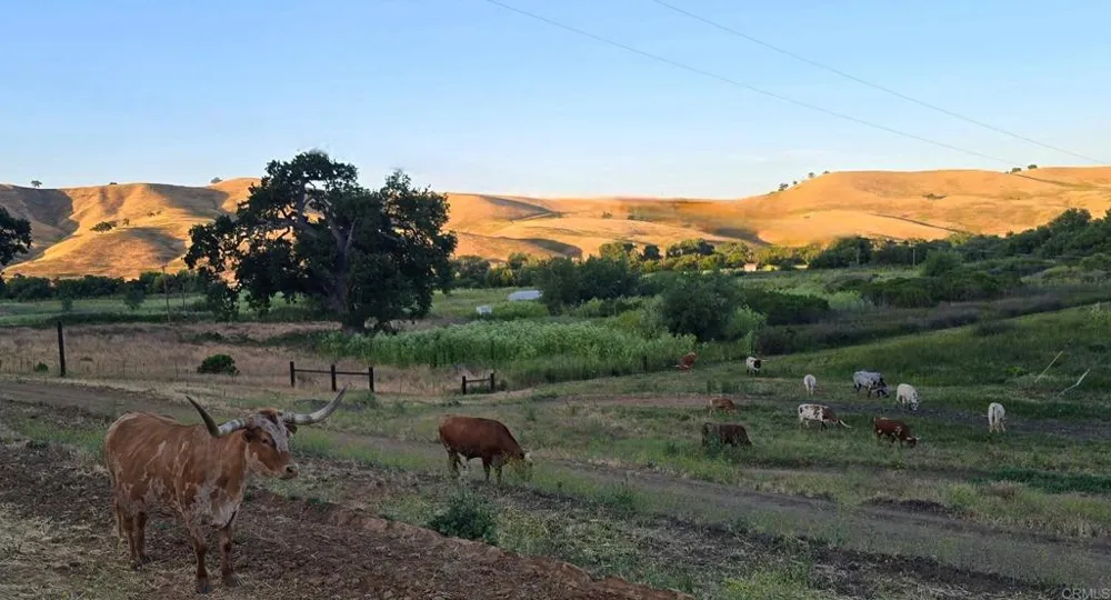 550 Limekiln Road Hollister, CA 95023