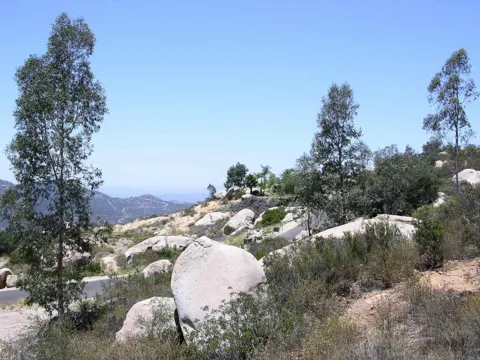 Welcome View