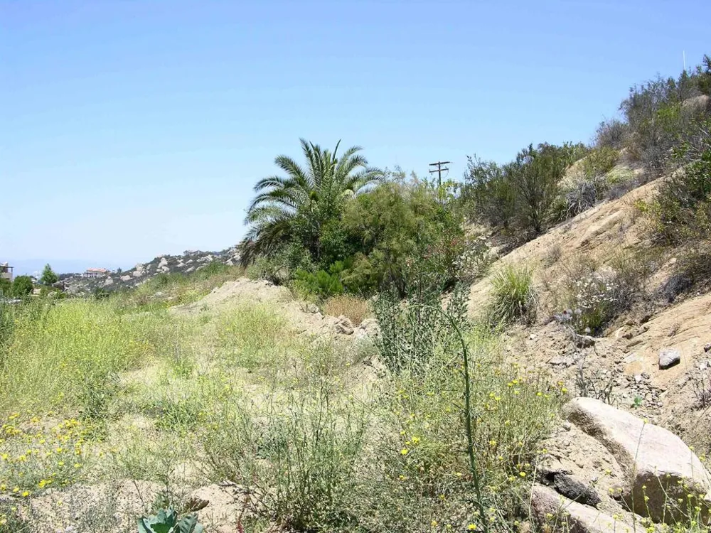 Welcome View Escondido, CA 92026