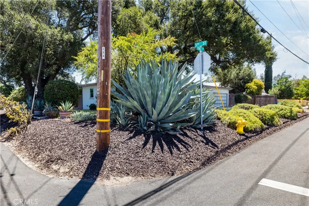 240 Oak Paso Robles, CA 93446