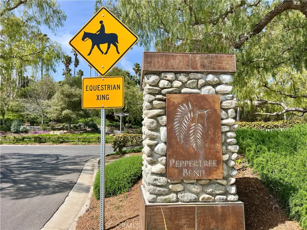 31641 Peppertree Bend San Juan Capistrano, CA 92675