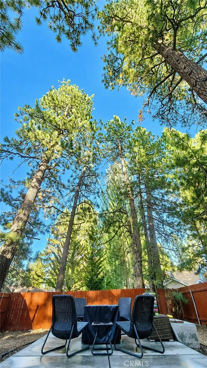 41631 Brownie Big Bear Lake, CA 92315