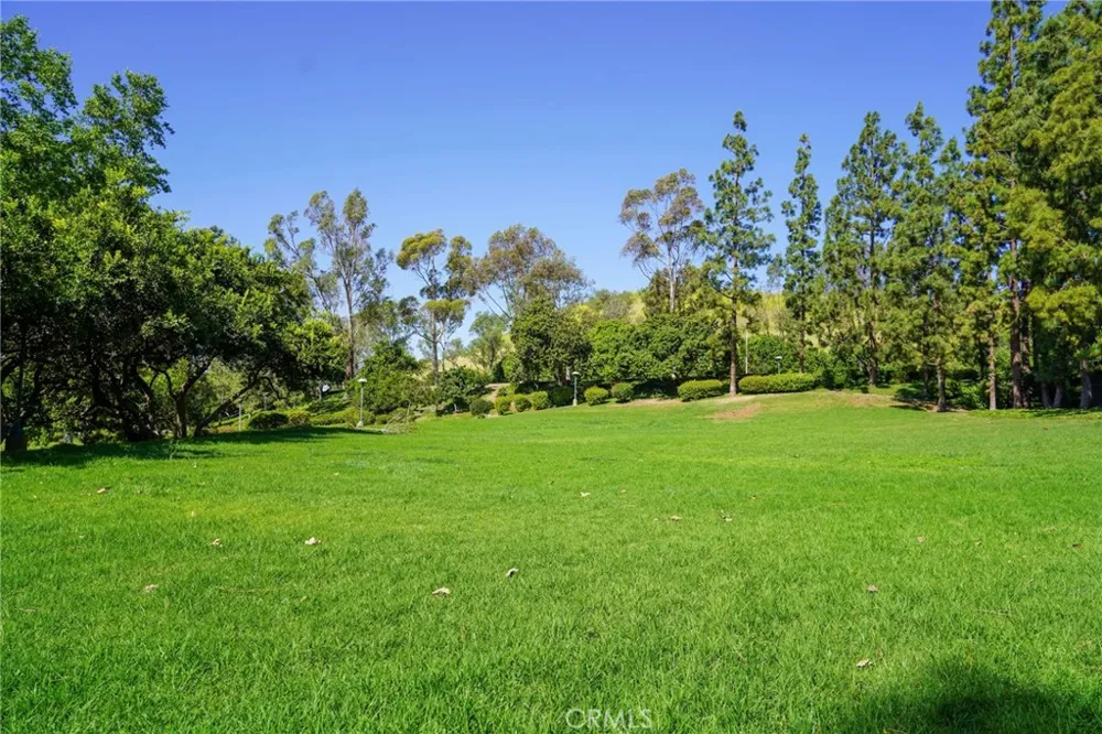 17 Rippling Stream Irvine, CA 92603