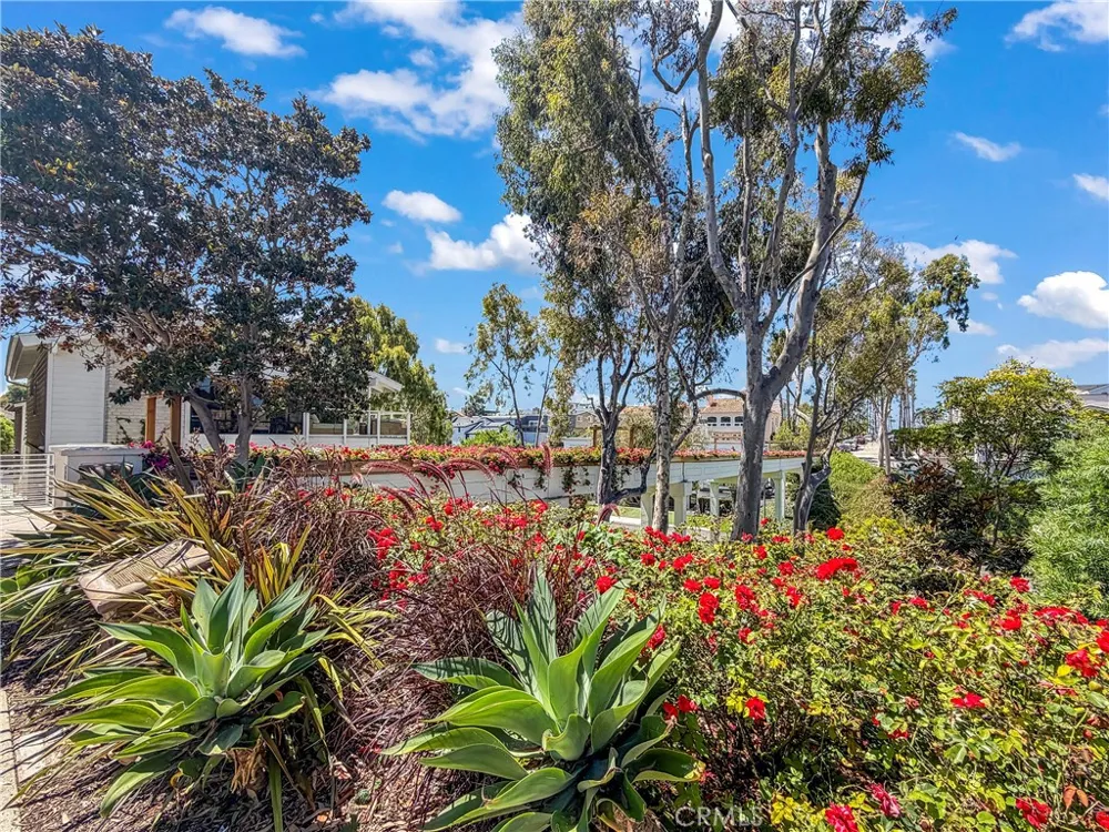 429 Goldenrod Corona del Mar, CA 92625