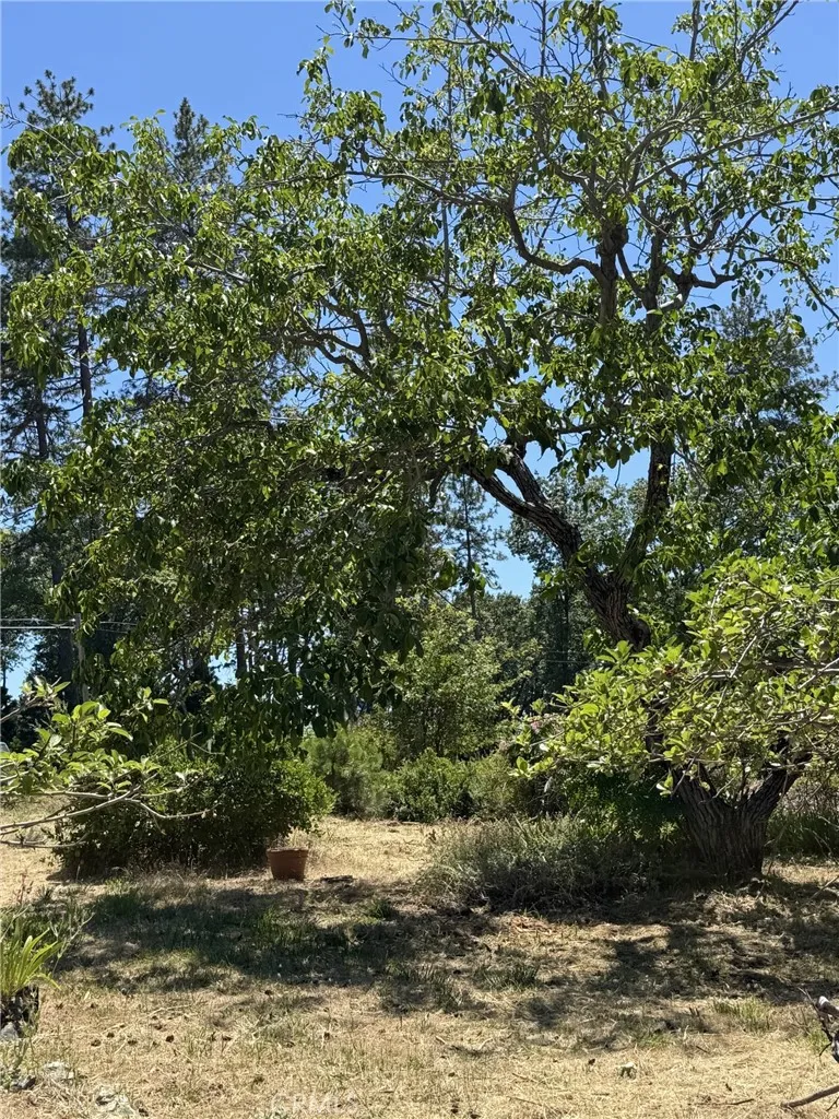 925 Wagstaff Road Paradise, CA 95969