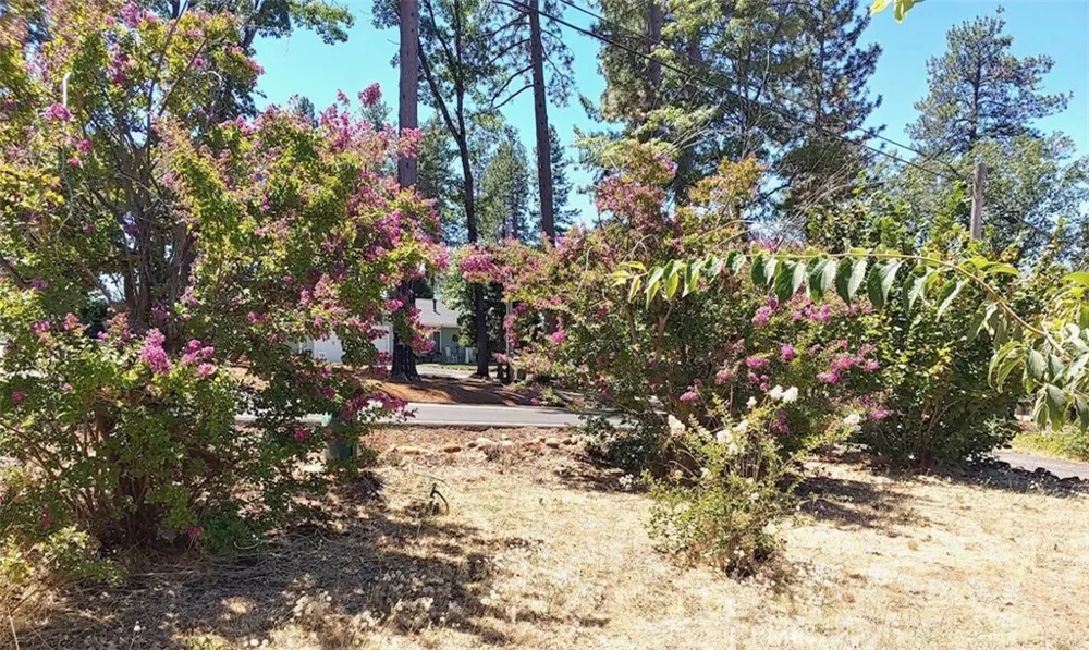 925 Wagstaff Road Paradise, CA 95969