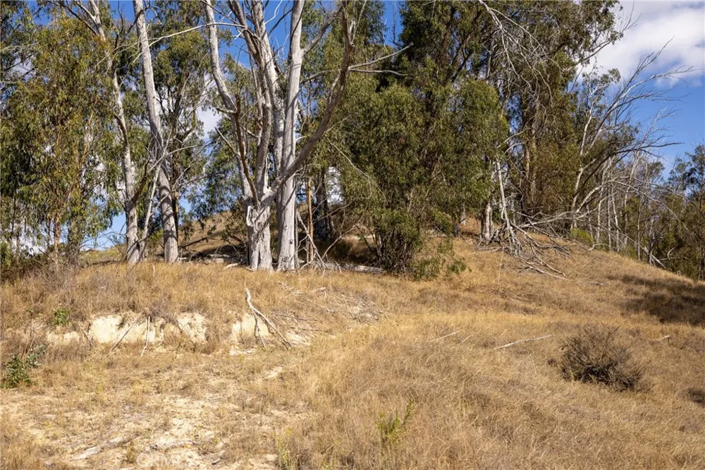 1375 Sugar Bush Court Arroyo Grande, CA 93420