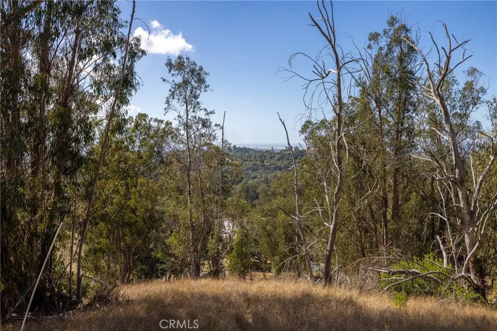 1375 Sugar Bush Court Arroyo Grande, CA 93420
