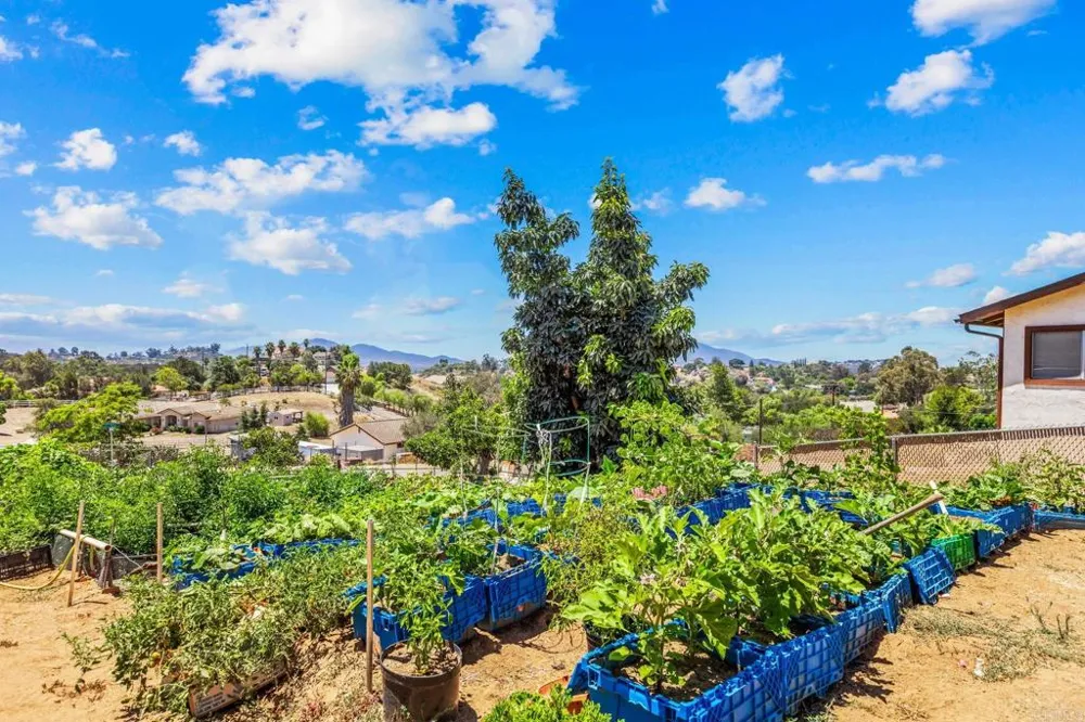 14668 Lyons Valley Road Jamul, CA 91935