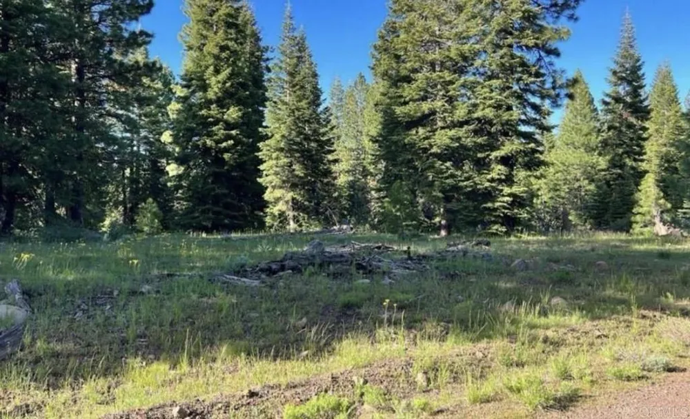 123 Glacier Dr Alturas, CA  96101 Road Alturas, CA 96101