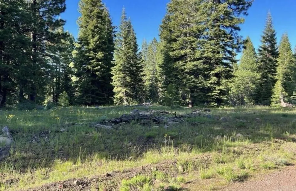 123 Glacier Dr Alturas, CA  96101 Road Alturas, CA 96101